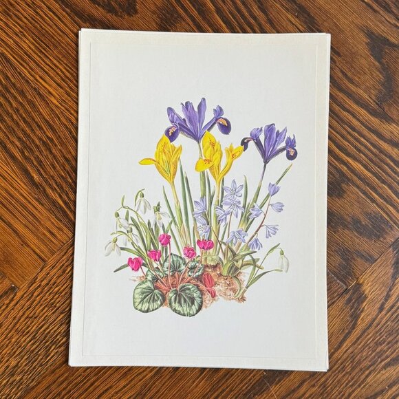 Vintage French Flower Prints Set 1 - Picture 5 of 5